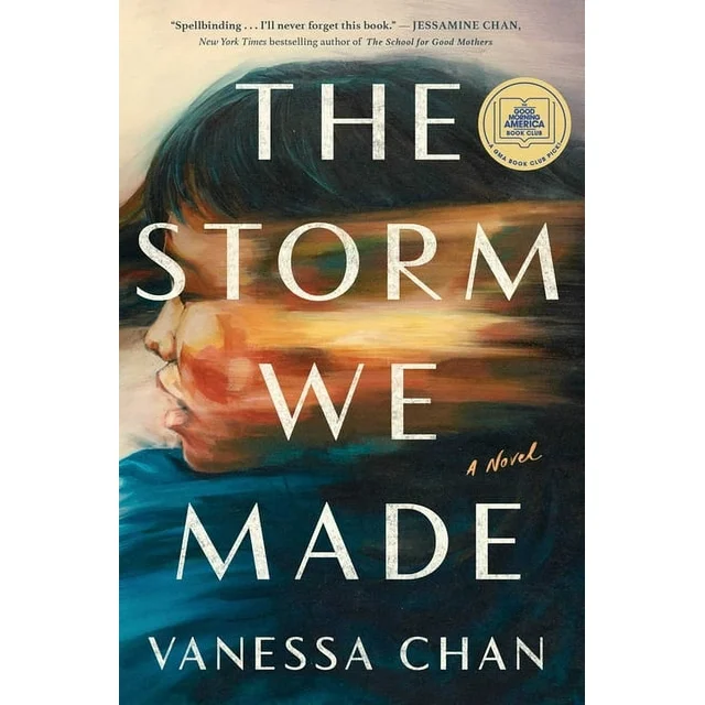 The Storm We Made by Vaness Chan